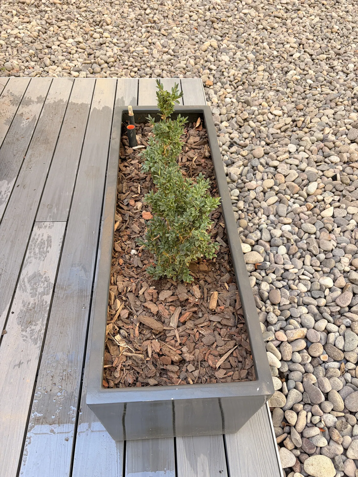Jardinera metálica sobre deck en patio interior