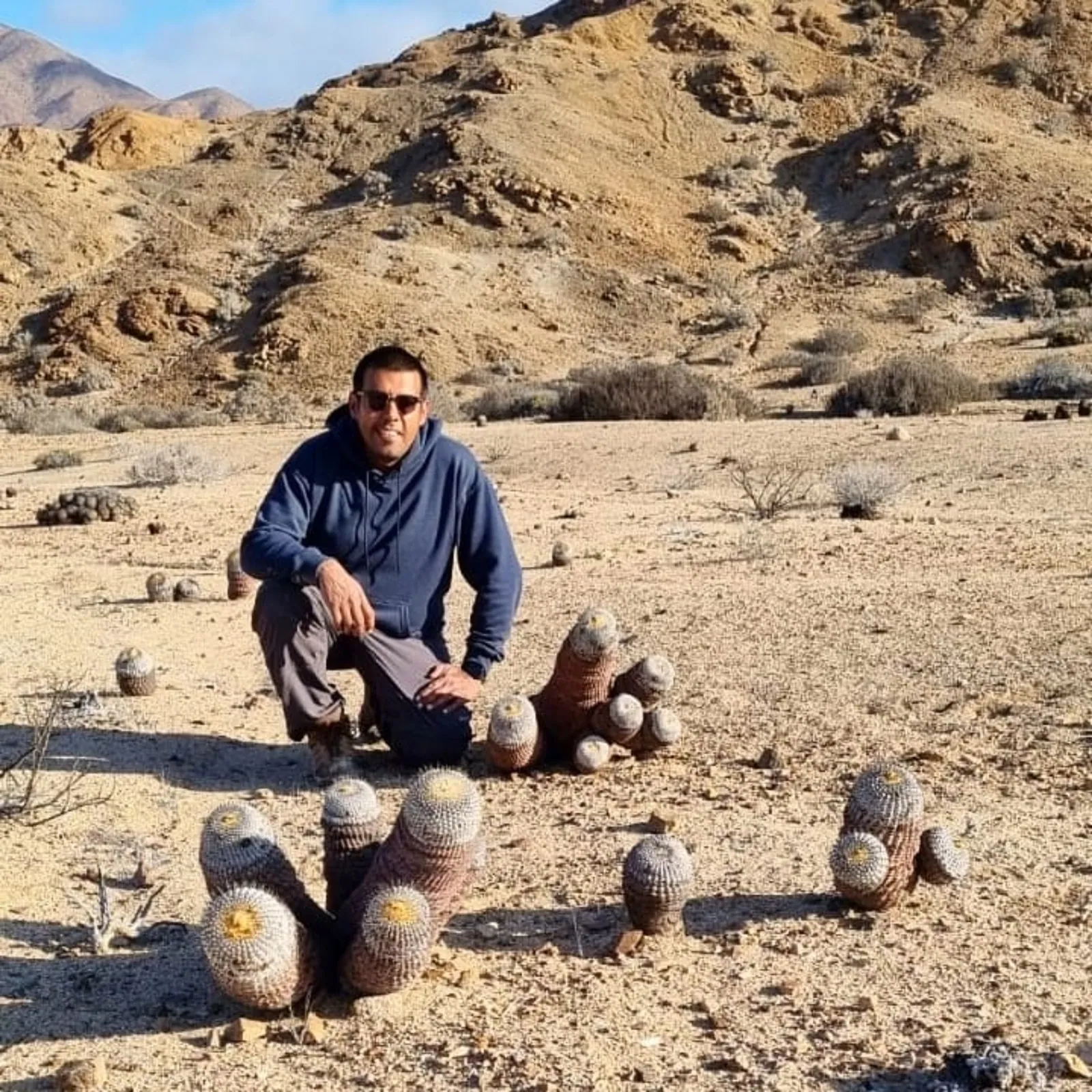 Cactáceas de bajo requerimiento hídrico en el desierto costero