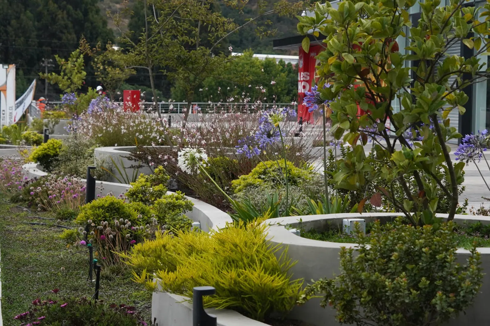 Vista general de las jardineras curvas del Outlet Viña del Mar