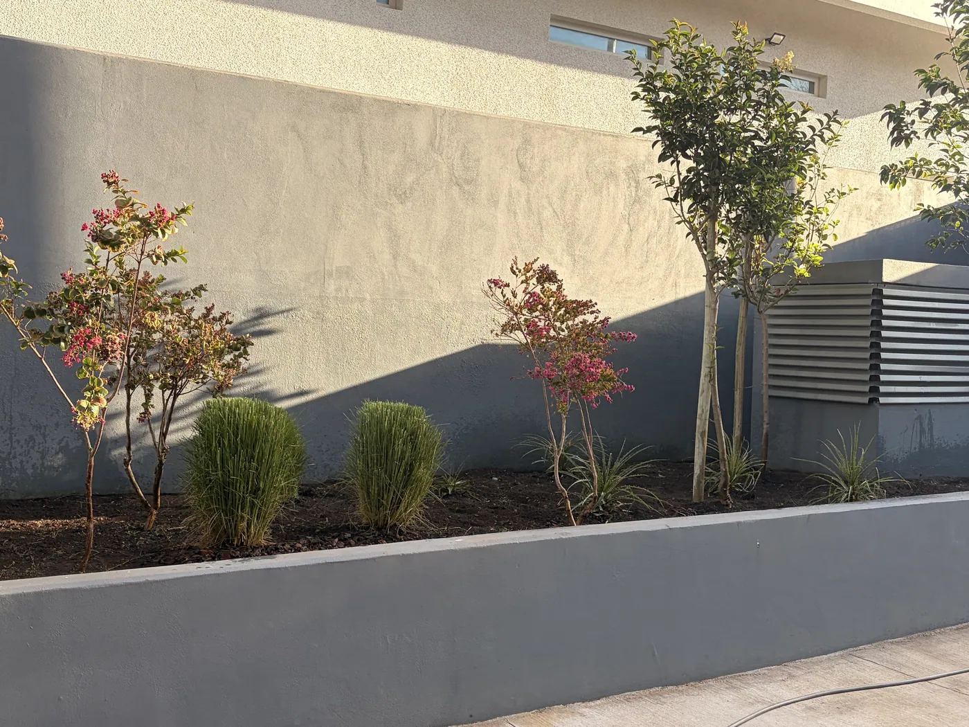 Jardinera lineal de hormigón con crespones y arbustos junto al muro