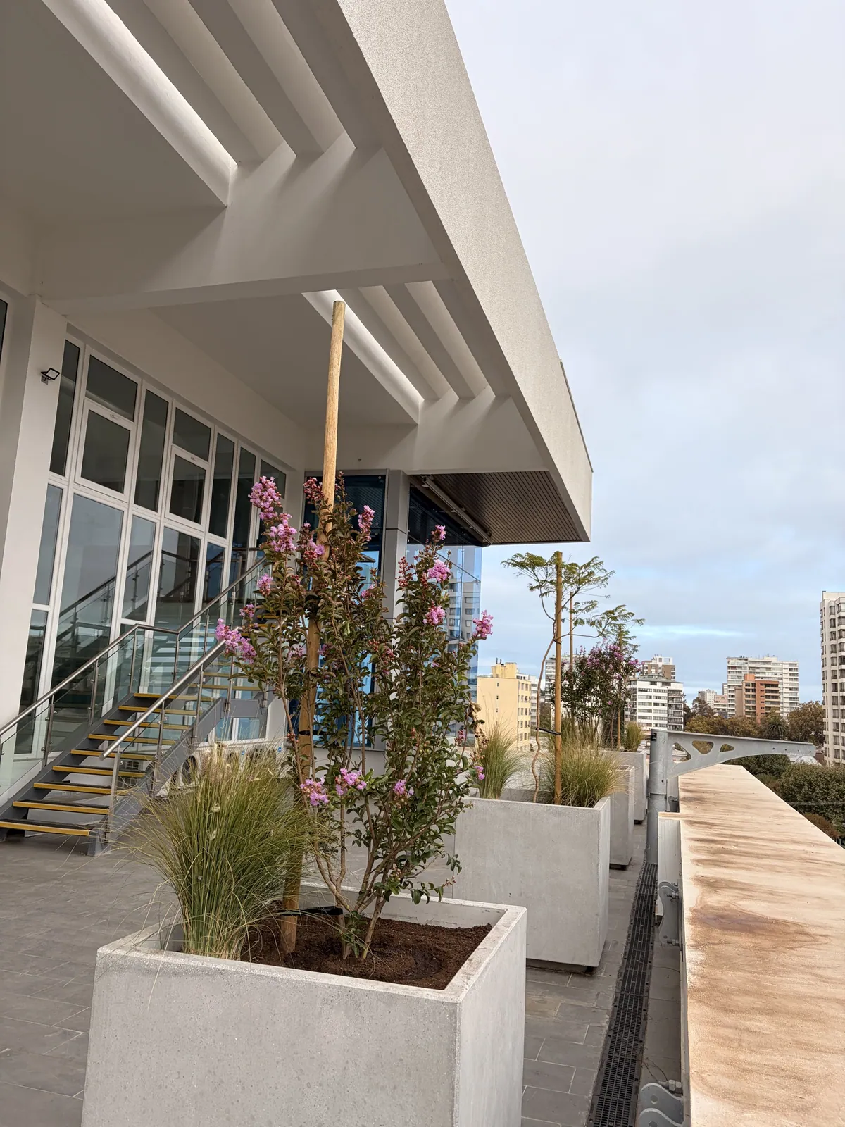 Jardineras elevadas de hormigón en la fachada del edificio